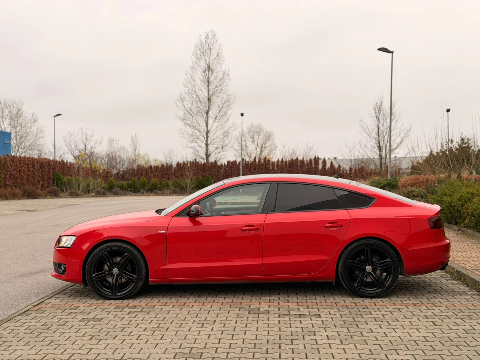 Audi A5 2.0TDI S LINE    365  | Mobile.bg   4