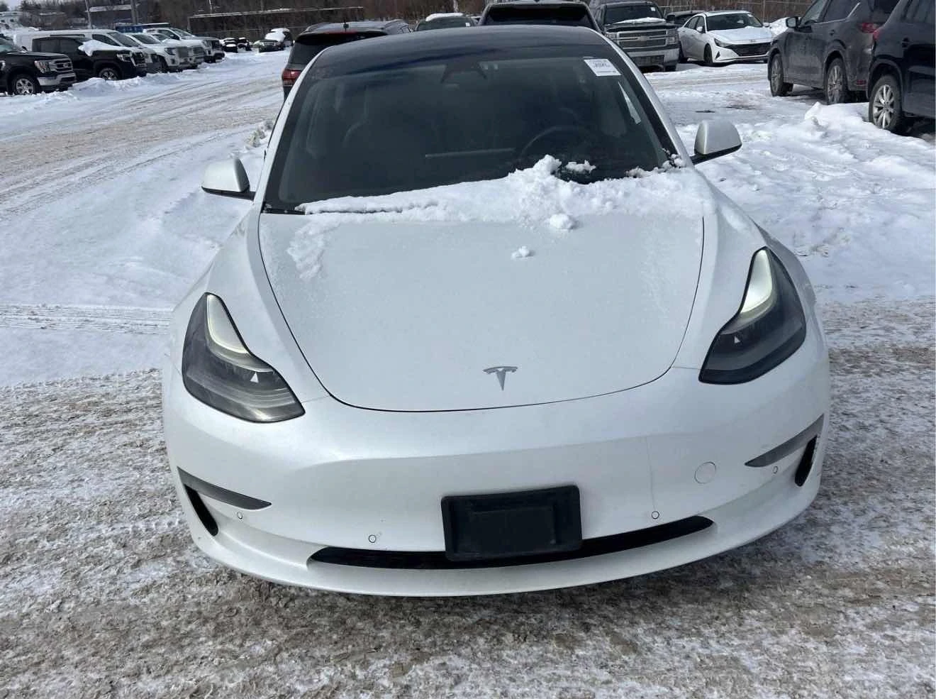 Tesla Model 3 * Standard Range Plus RWD * CARFAX * , снимка 2 - Автомобили и джипове - 53733995