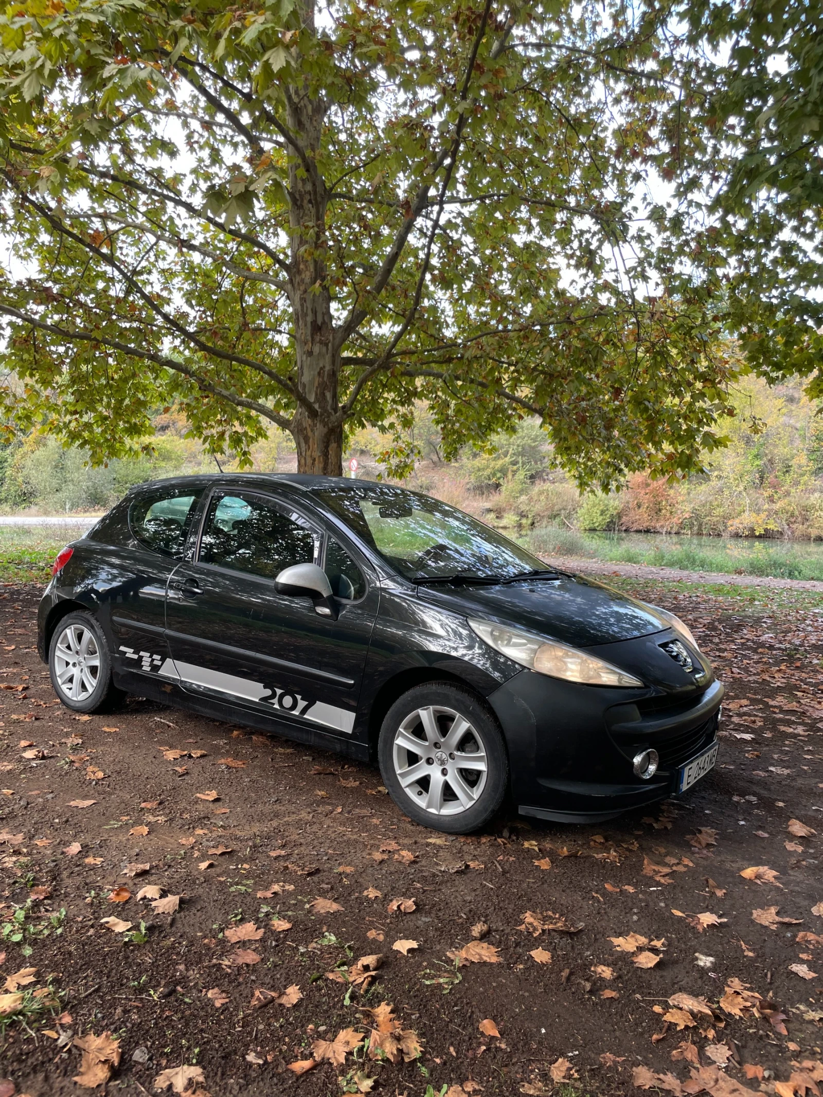 Peugeot 207 1.6 16v 109PS, снимка 8 - Автомобили и джипове - 56478021