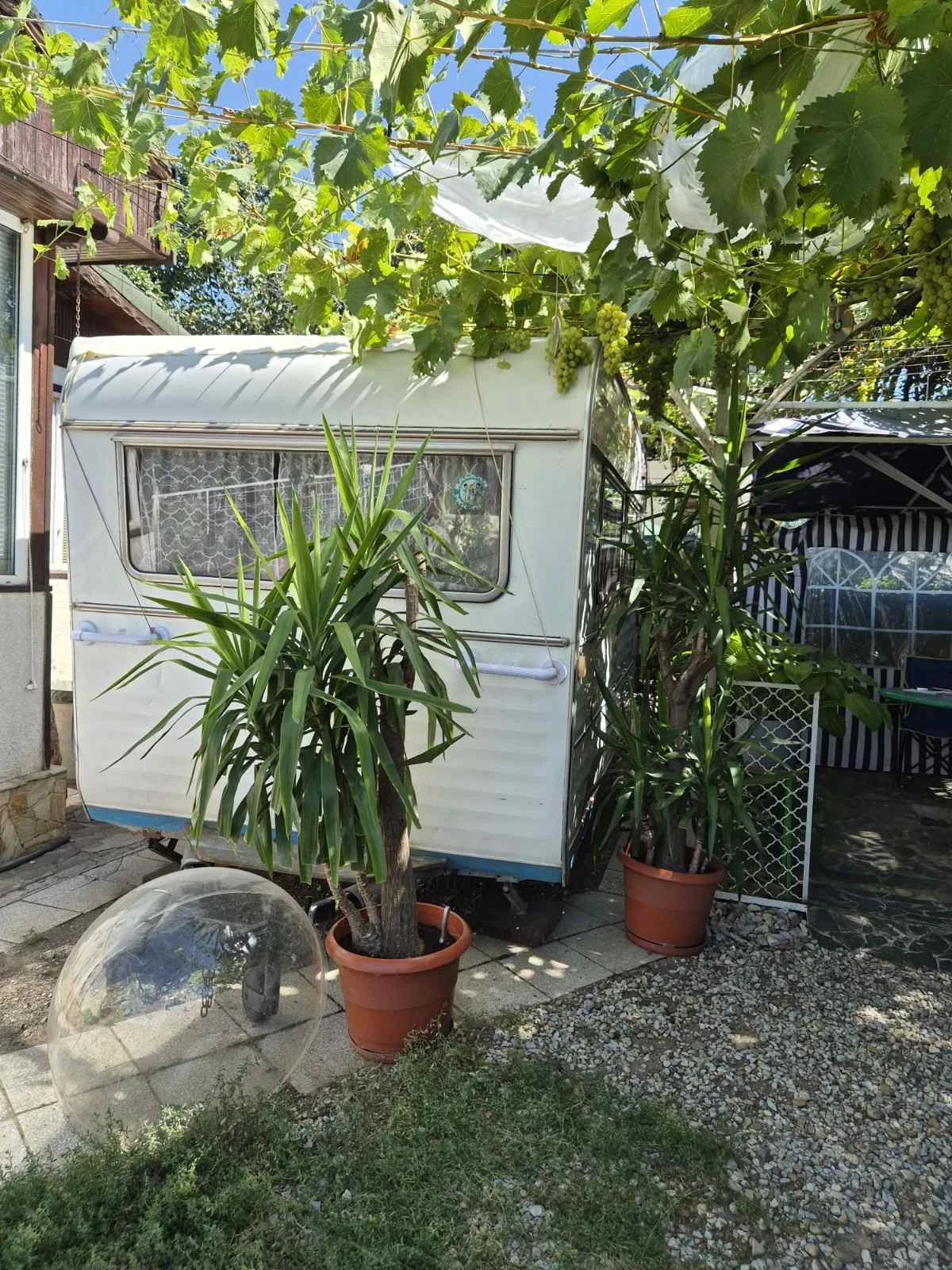 �������� Caravelair | Mobile.bg � ����������� 7
