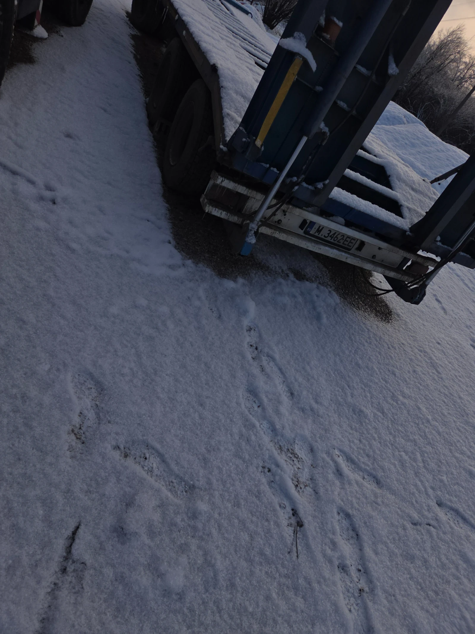 �� ������ | Mobile.bg � ����������� 8