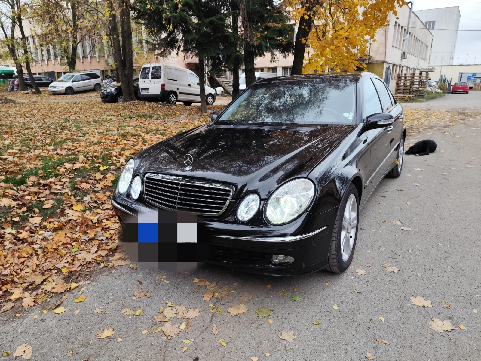 Mercedes-Benz E 500 | Mobile.bg   4