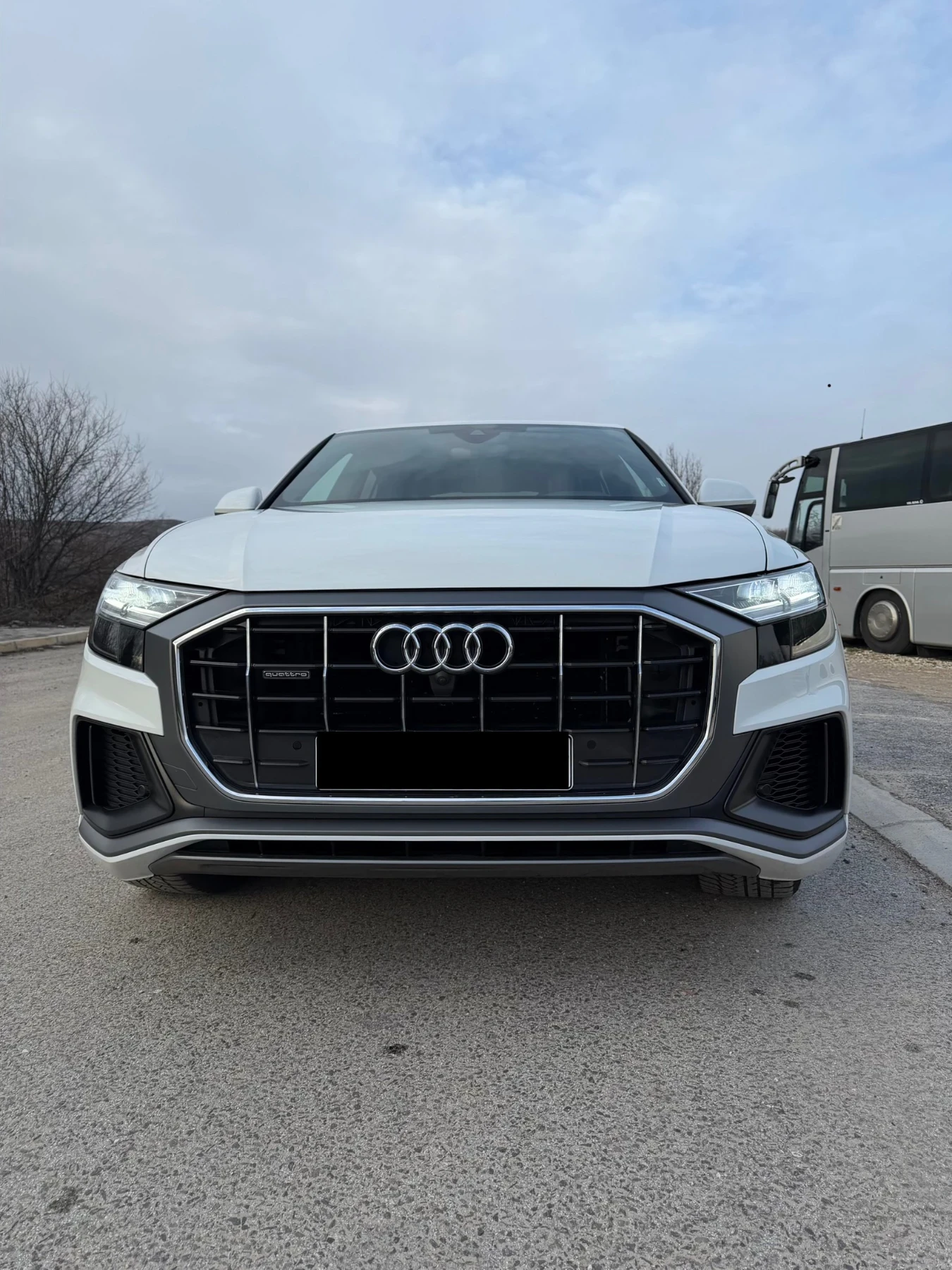 Audi Q8  - изображение 3