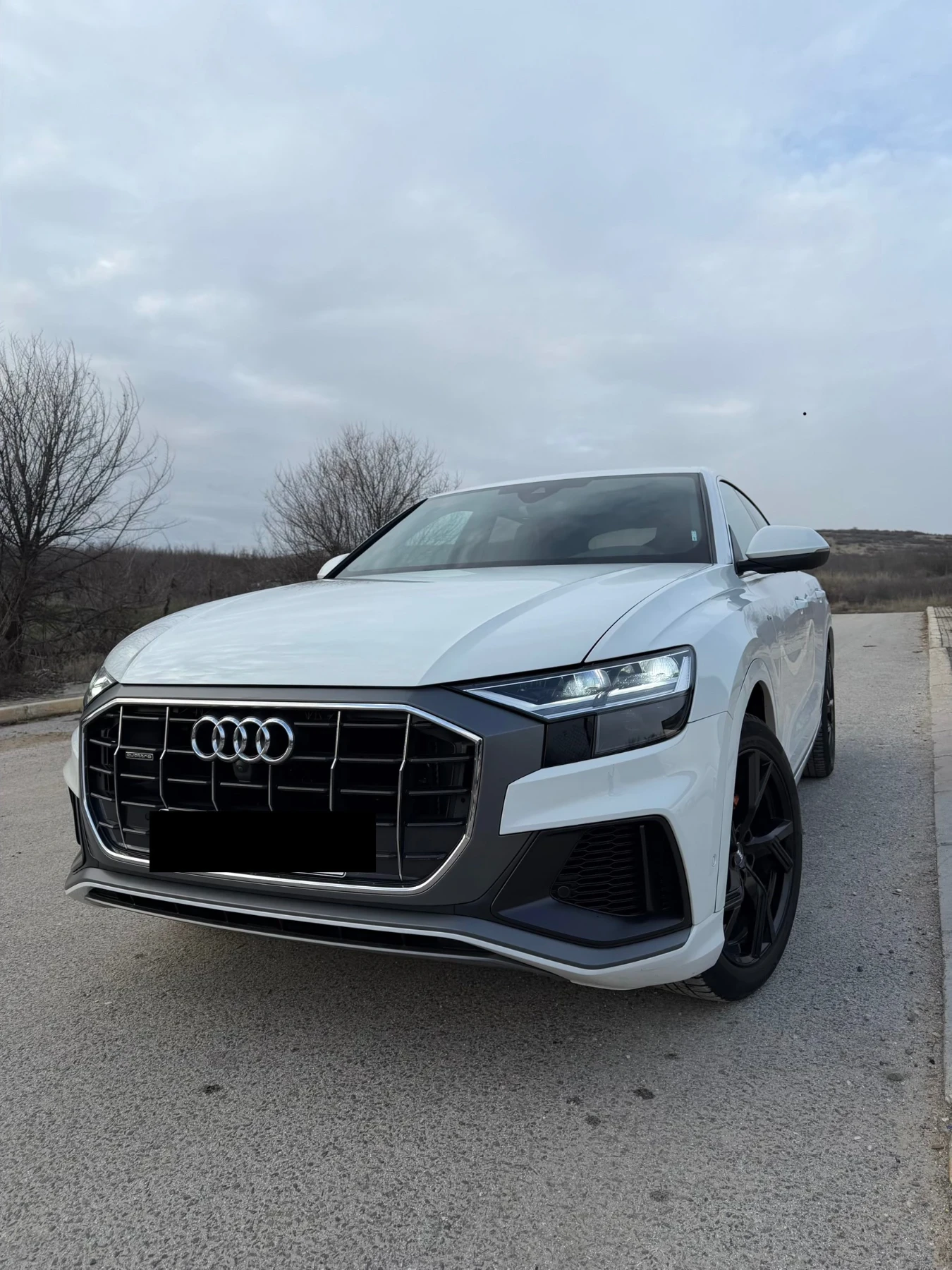 Audi Q8  - изображение 2