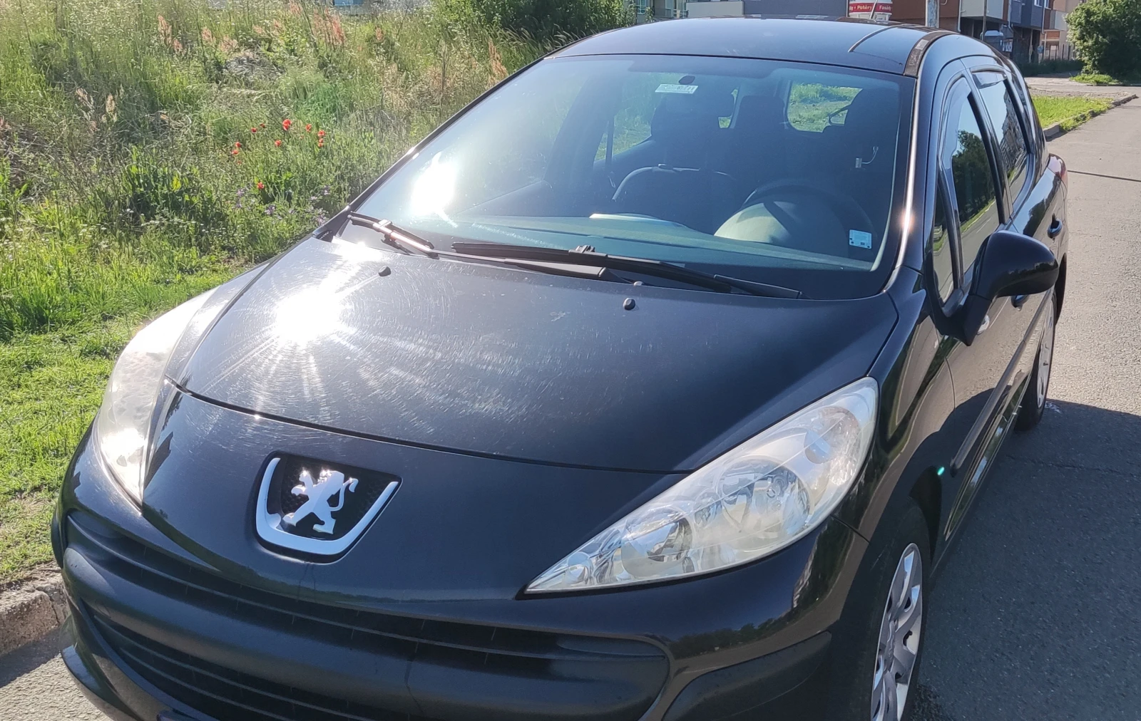 Peugeot 207 sw - изображение 5