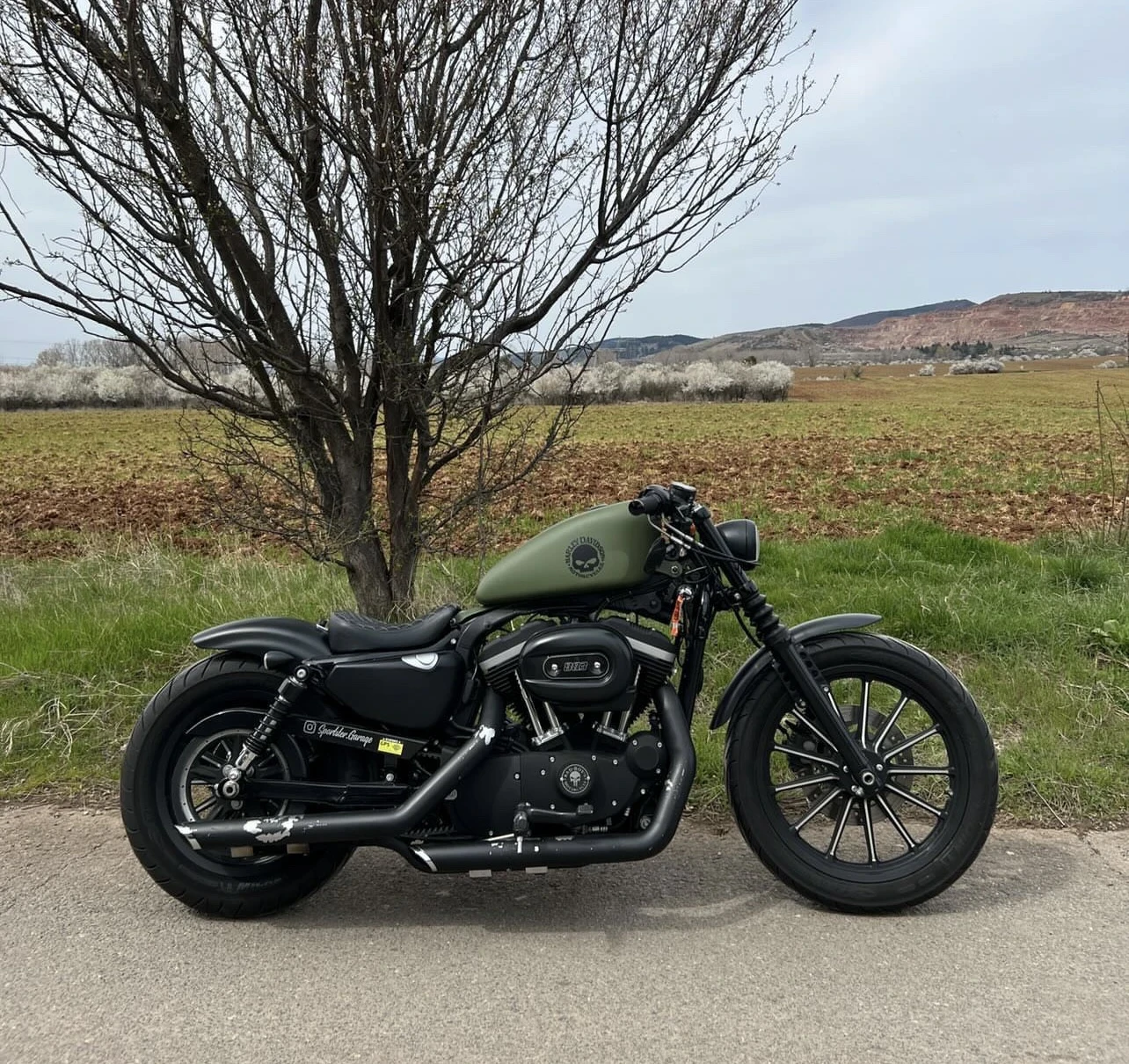 Harley-Davidson Sportster 883, снимка 2 - Мотоциклети и мототехника - 55850734