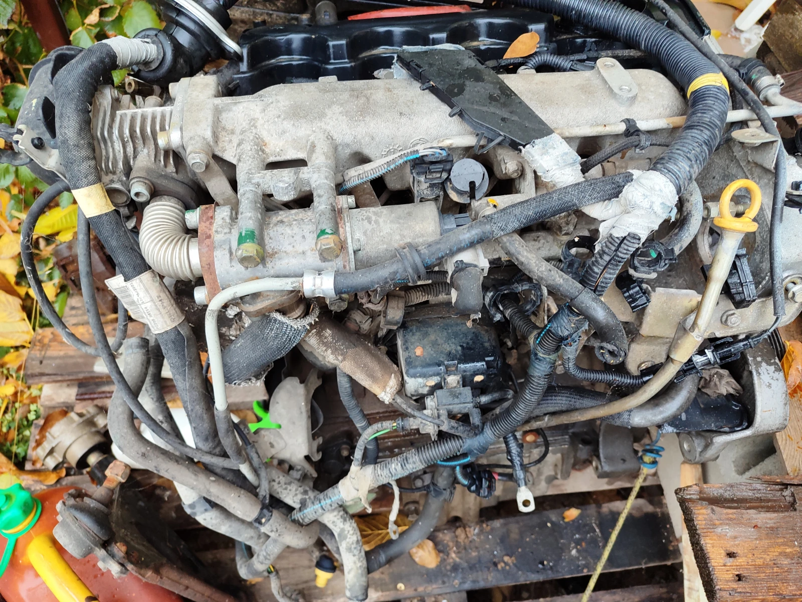  ,      ,  19 ,   110 ..  ,  | Mobile.bg   6