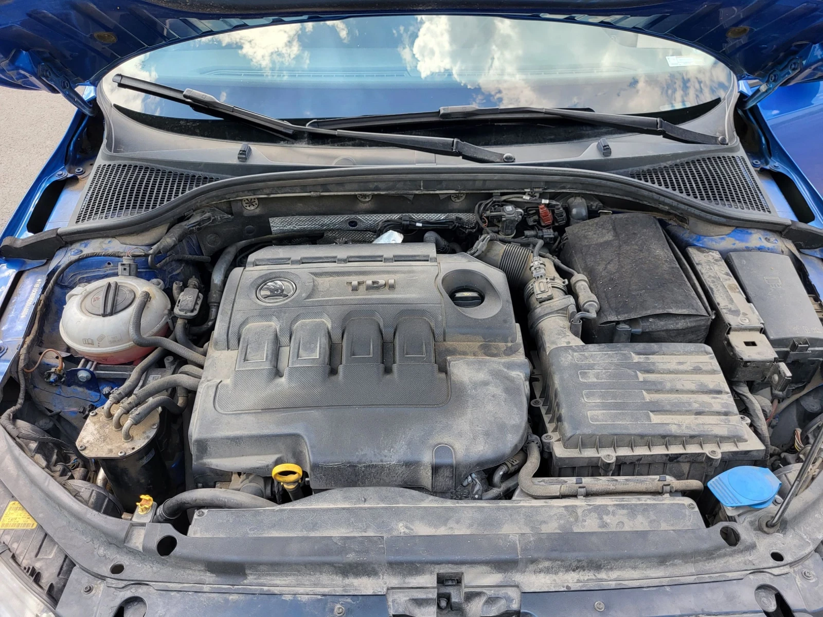 Skoda Octavia 1.6TDI | Mobile.bg   11