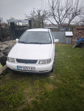     VW Polo