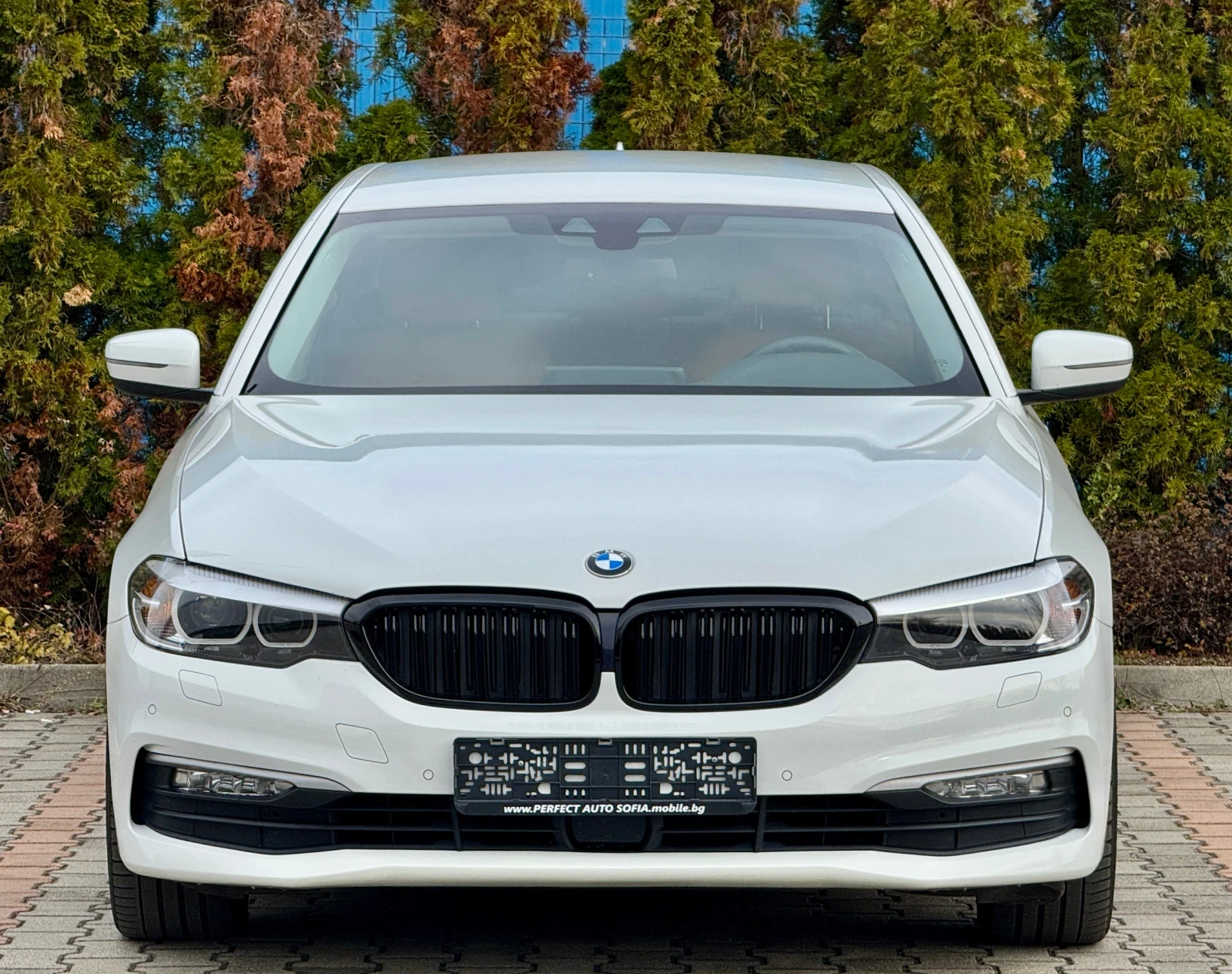 BMW 530 3.0Xdrive-G30-М-СПОРТ-КАМЕРА-ДОСТРОНИК-ЗОНИ-ЛЕНТИ! - изображение 7