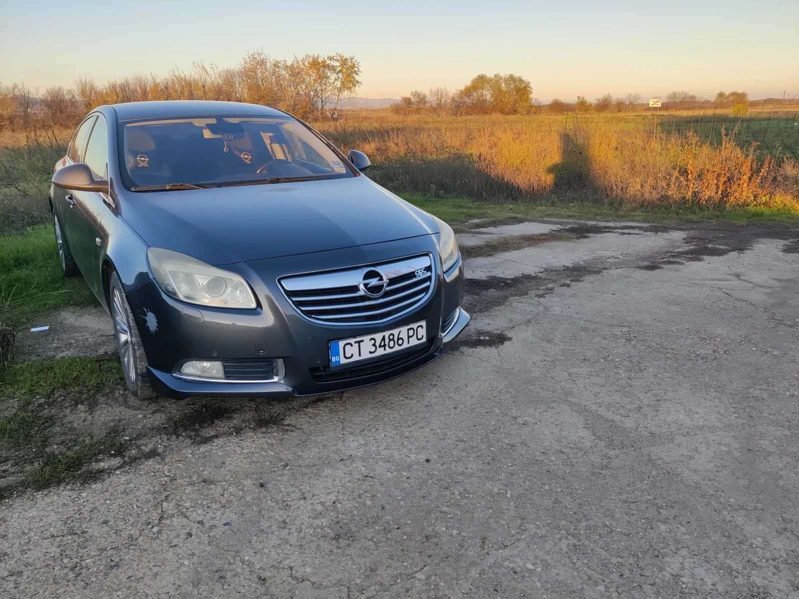 Opel Insignia, снимка 9 - Автомобили и джипове - 54644940