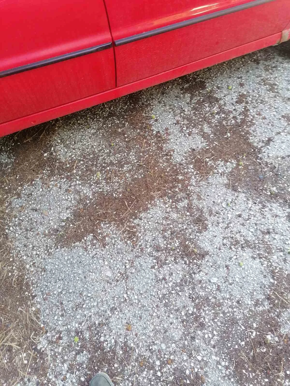 VW Polo 1.6, снимка 10 - Автомобили и джипове - 54845640