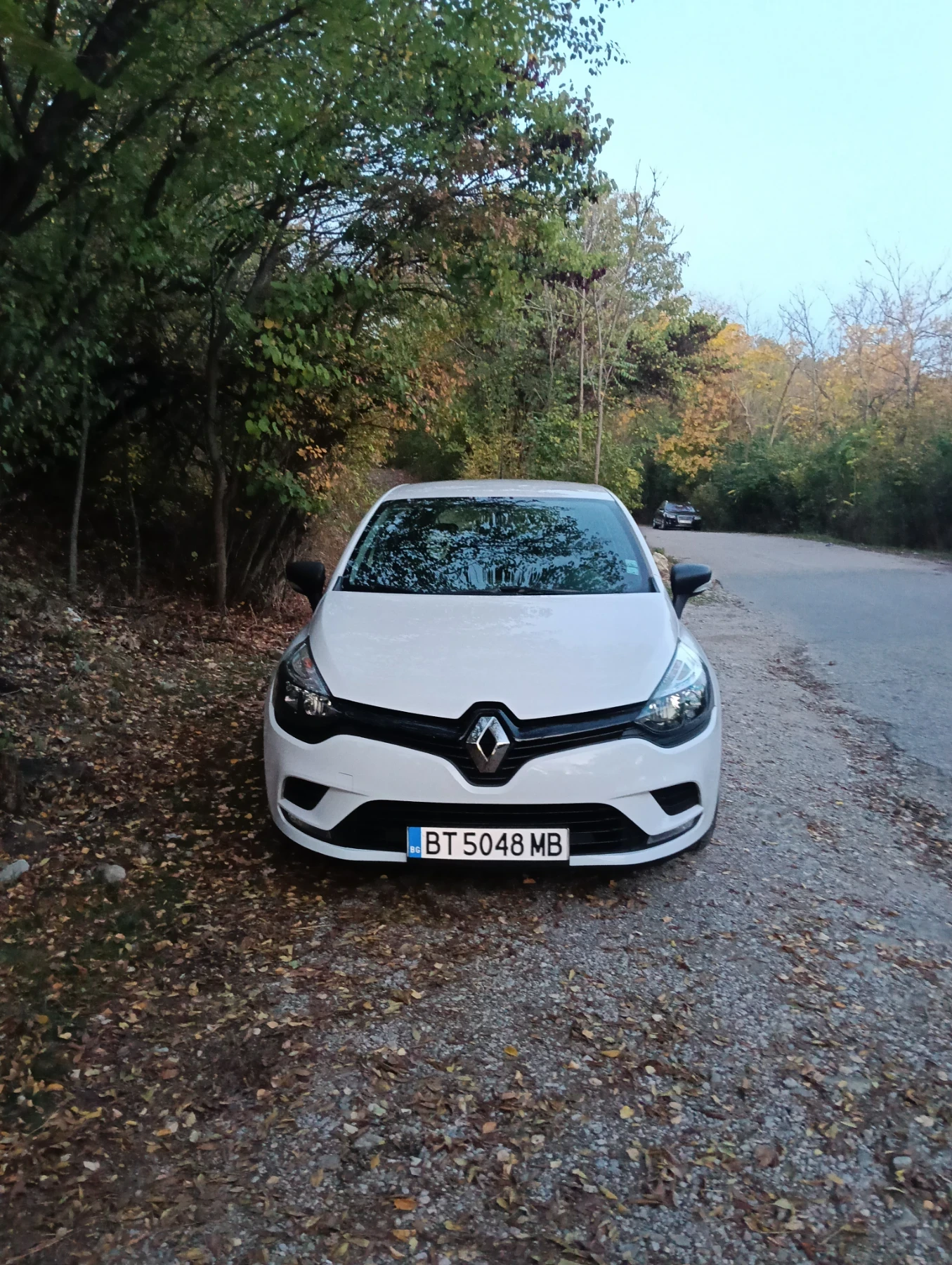 Renault Clio, снимка 6 - Автомобили и джипове - 56641988