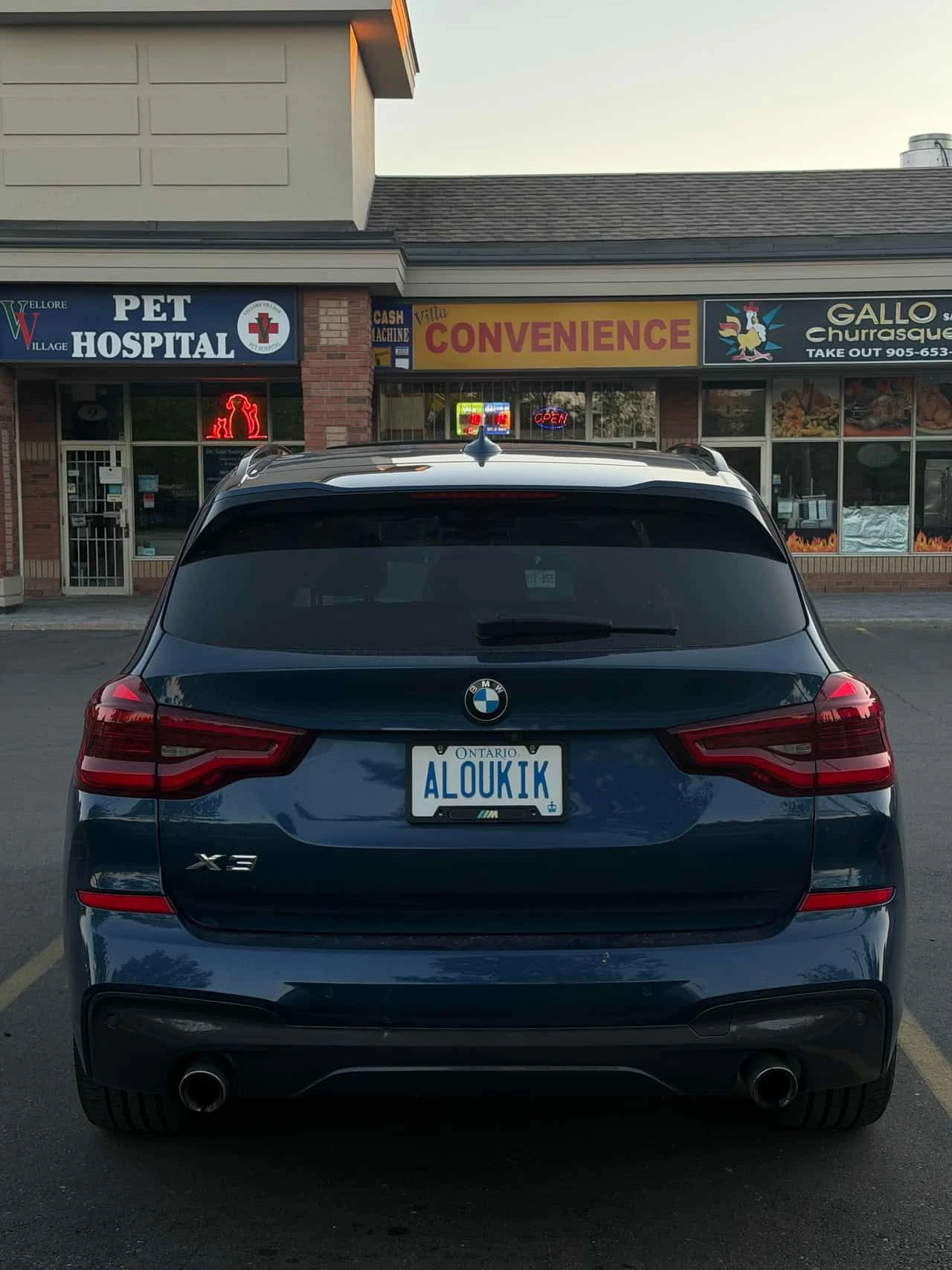 BMW X3 * XDRIVE30I * PANO * ПОДГРЕВИ * KEYLESS, снимка 4 - Автомобили и джипове - 54702698