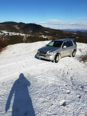 Mercedes-Benz ML 270 | Mobile.bg    9