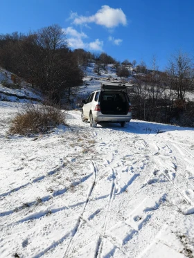 Mercedes-Benz ML 270 | Mobile.bg    8