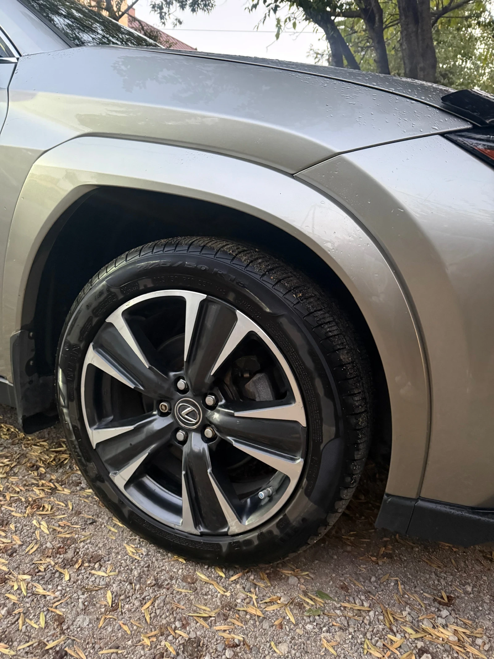 Lexus UX 250h, снимка 15 - Автомобили и джипове - 56073822