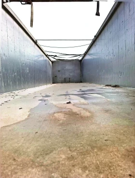 ����������� Benalu | Mobile.bg � ����� ������ 4