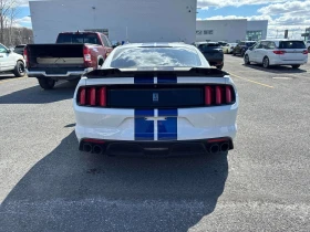 Ford Mustang Shelby * * V8 * * CARFAX * * , снимка 5