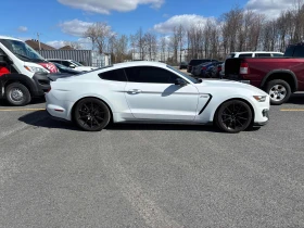 Ford Mustang Shelby * * V8 * * CARFAX * *  | Mobile.bg � ����� ������ 4