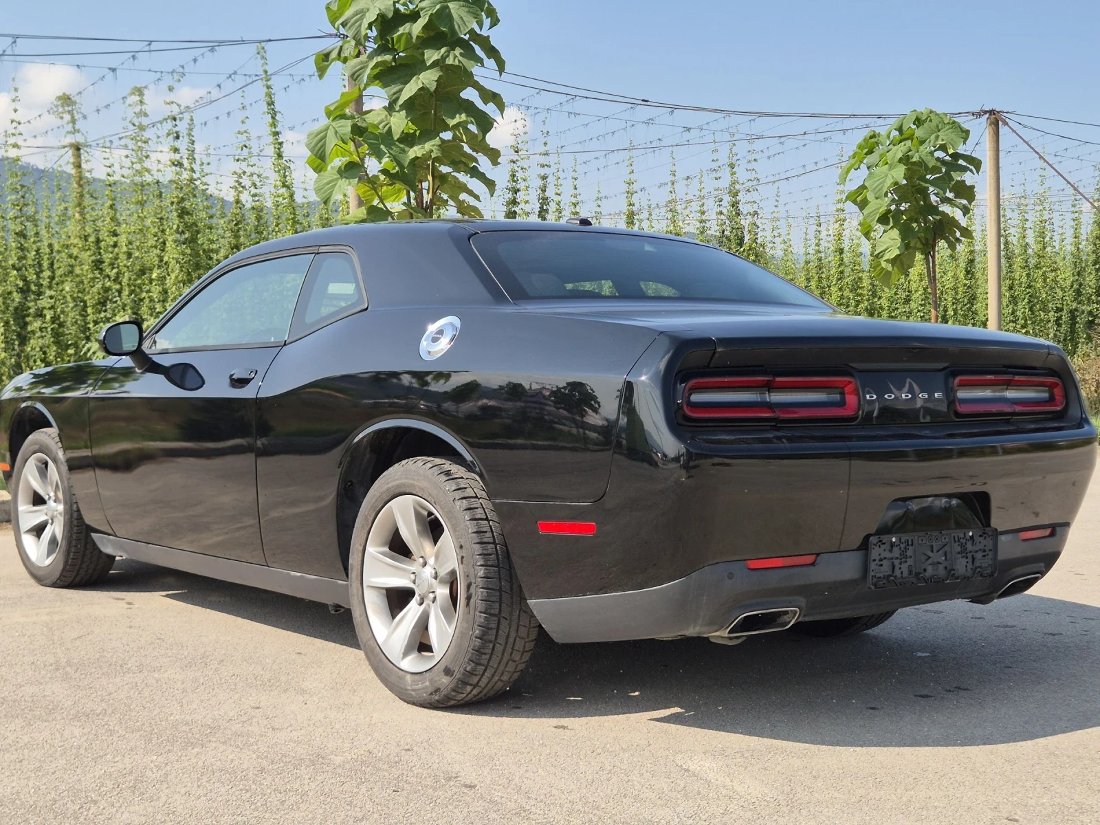 Dodge Challenger 3.6 - изображение 4