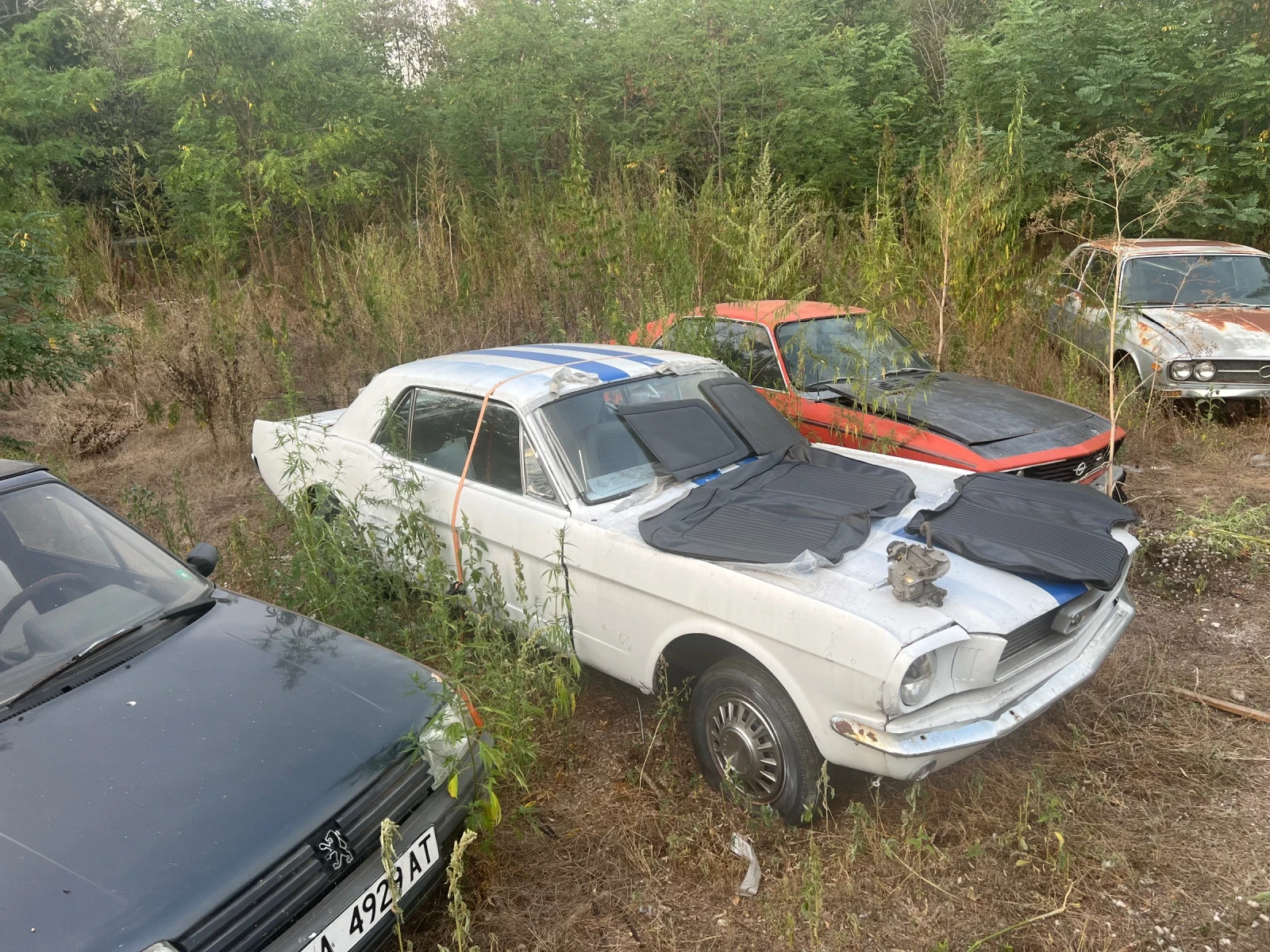 Ford Mustang 1966, снимка 5 - Автомобили и джипове - 54076651