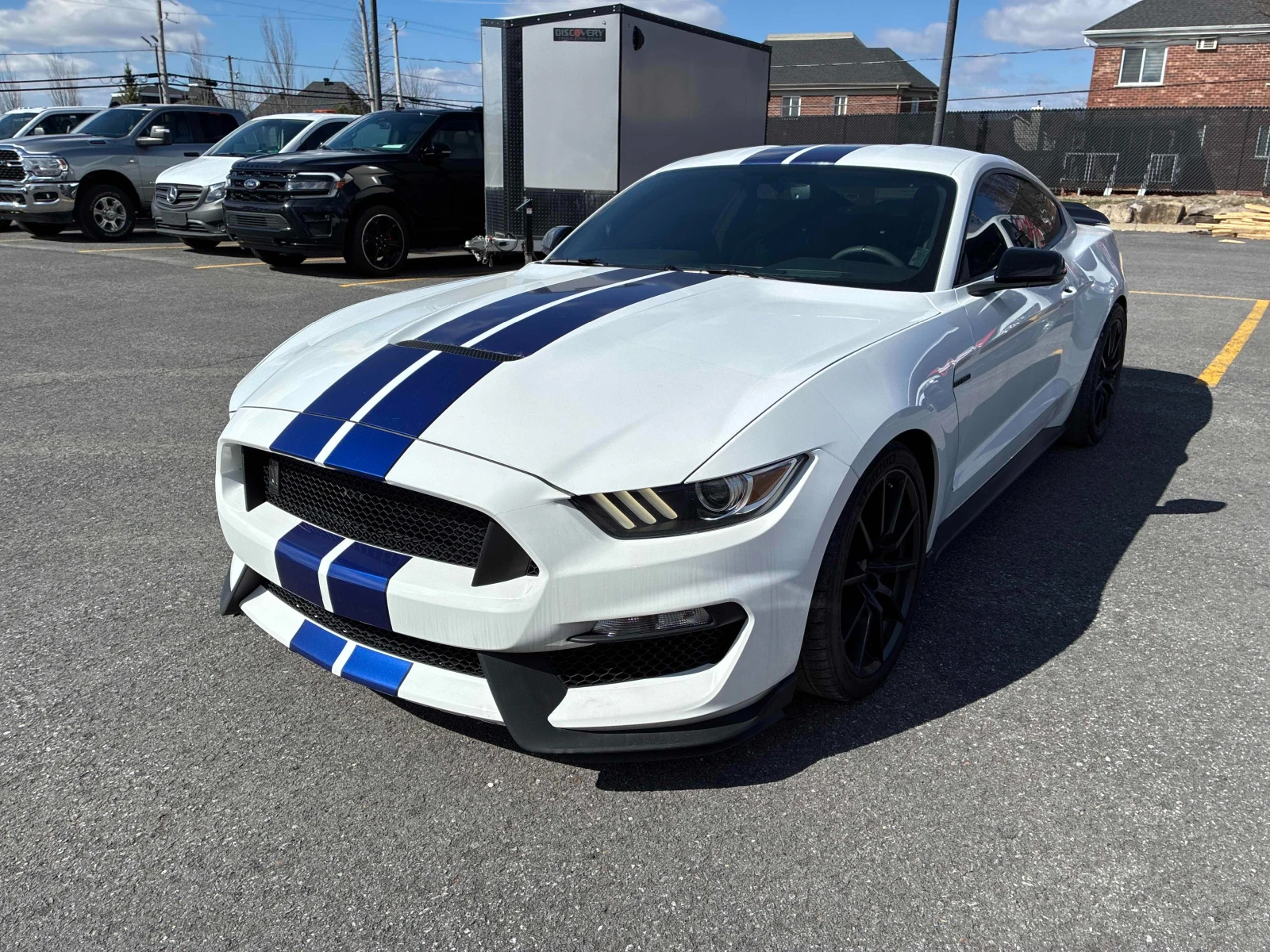 Ford Mustang Shelby * * V8 * * CARFAX * * 