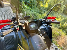 Kawasaki Brute Force 650, снимка 8