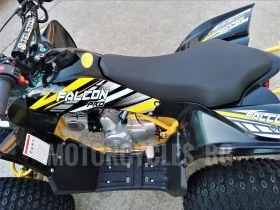 Други Друг ATV FALCON TS-150J 150CC  НОВО ! ! ! ПРОМО ! ! !, снимка 13