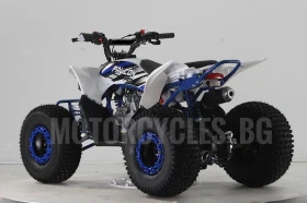 Други Друг ATV FALCON TS-150J 150CC  НОВО ! ! ! ПРОМО ! ! !, снимка 4