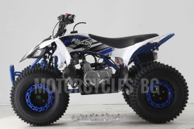 Други Друг ATV FALCON TS-150J 150CC  НОВО ! ! ! ПРОМО ! ! !, снимка 3