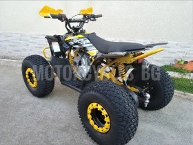 Други Друг ATV FALCON TS-150J 150CC  НОВО ! ! ! ПРОМО ! ! !, снимка 12