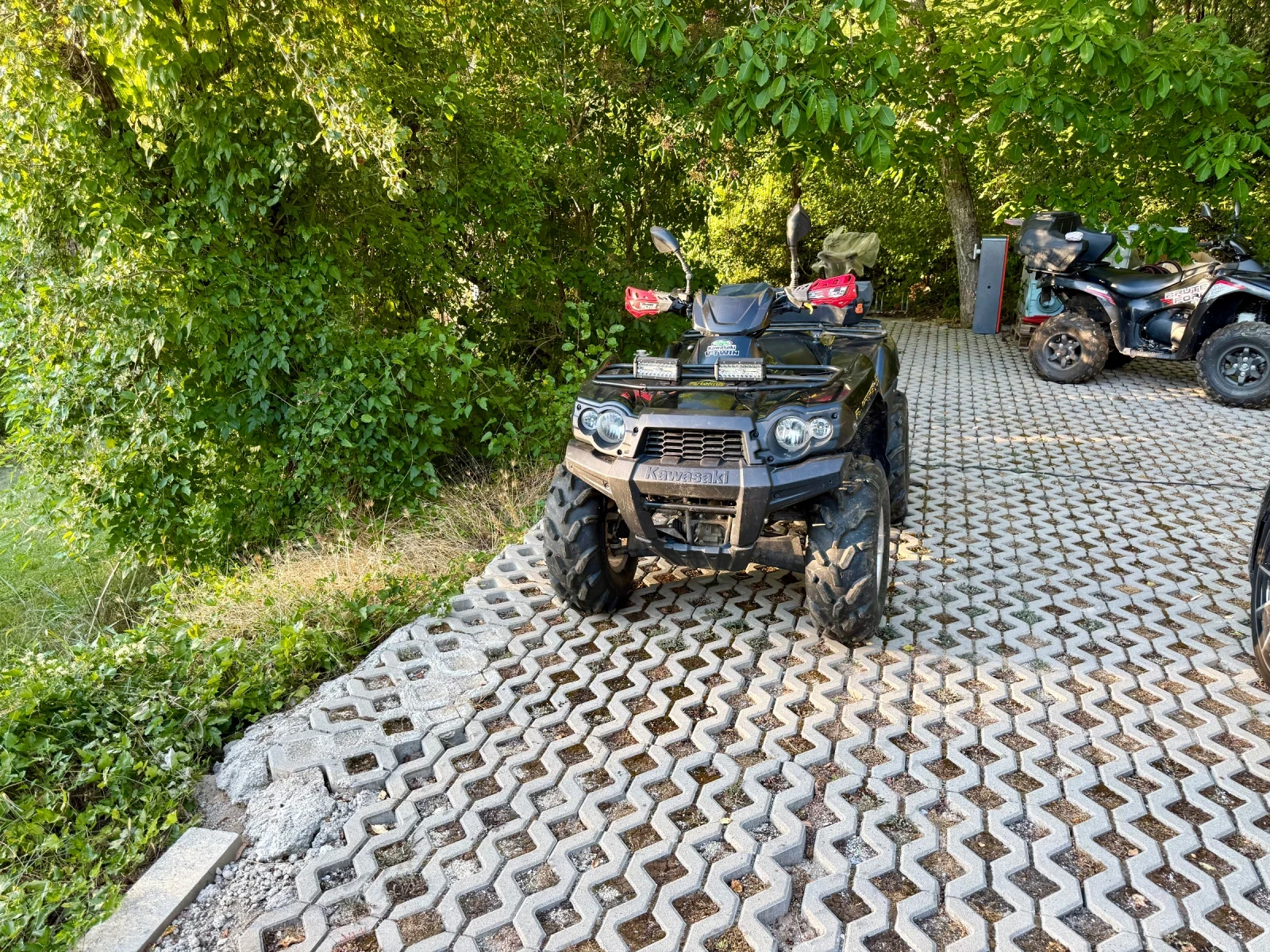 Kawasaki Brute Force 650