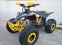 Обява за продажба на Други ATV FALCON TS-150J 150CC  НОВО ! ! ! ПРОМО ! ! ! ~2 090 лв. - изображение 6