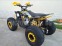 Обява за продажба на Други ATV FALCON TS-150J 150CC  НОВО ! ! ! ПРОМО ! ! ! ~2 090 лв. - изображение 11