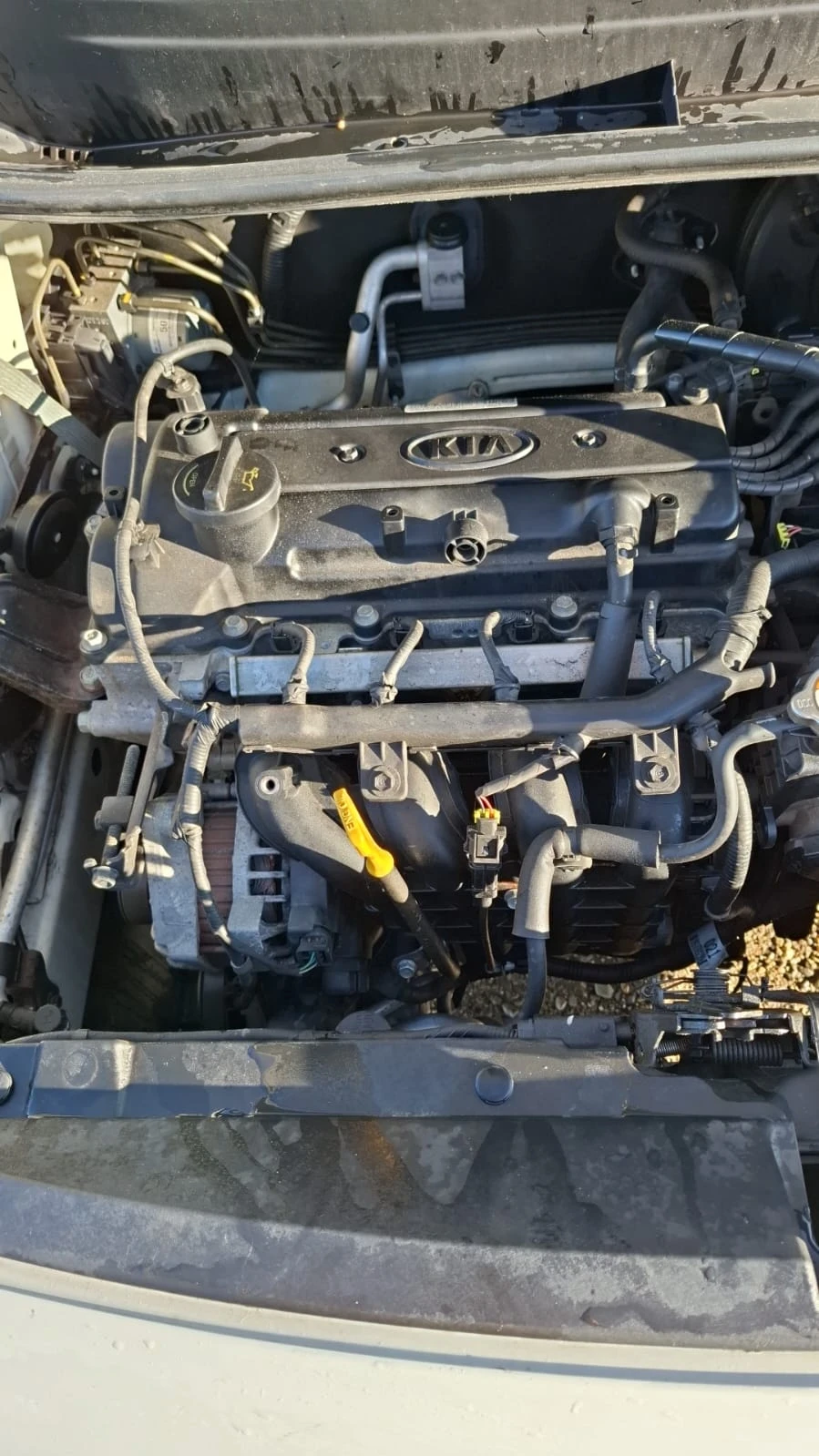 Kia Rio | Mobile.bg   2