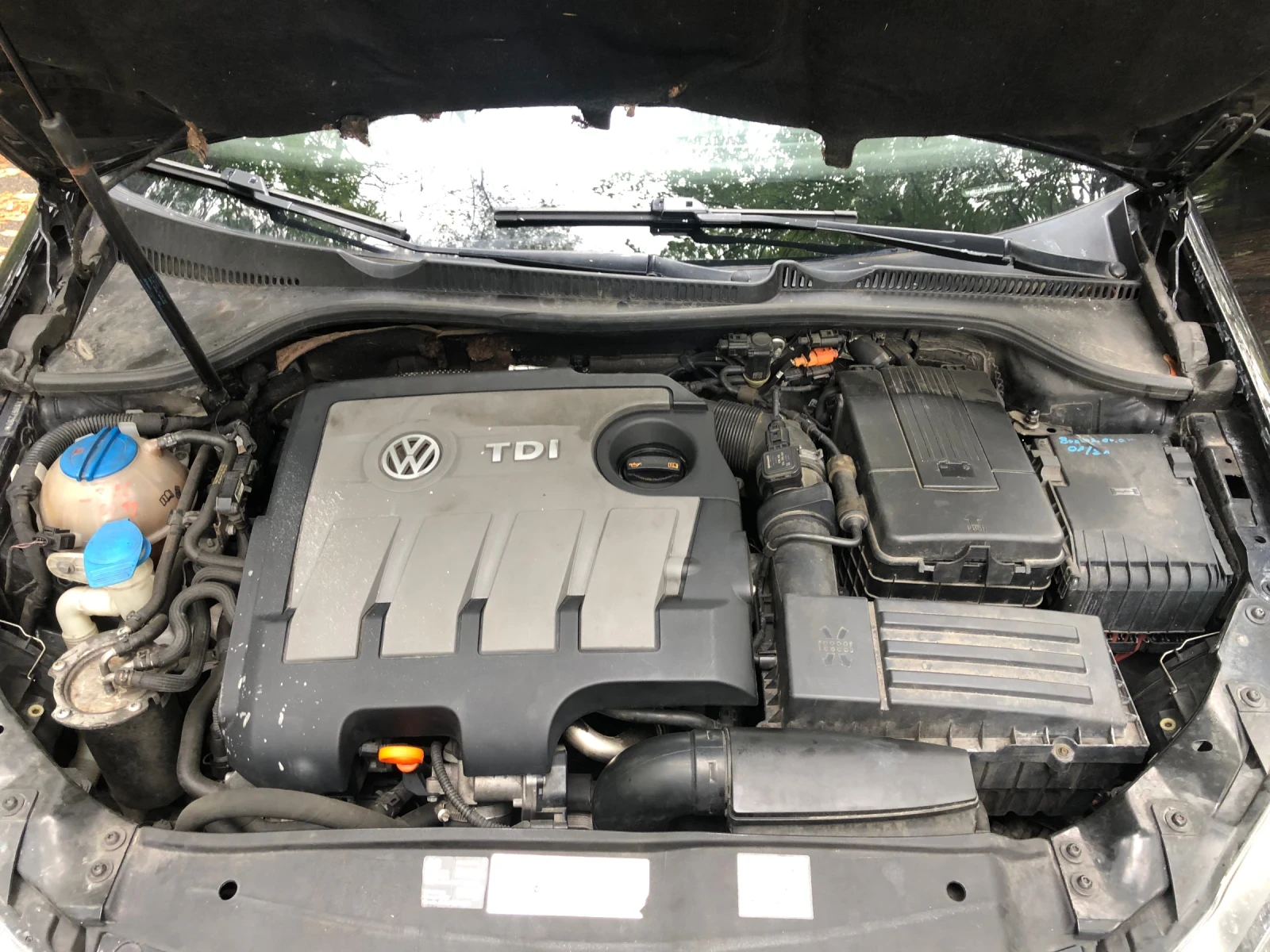 VW Golf GOLF VI 1.6/105 bluemotion | Mobile.bg   14