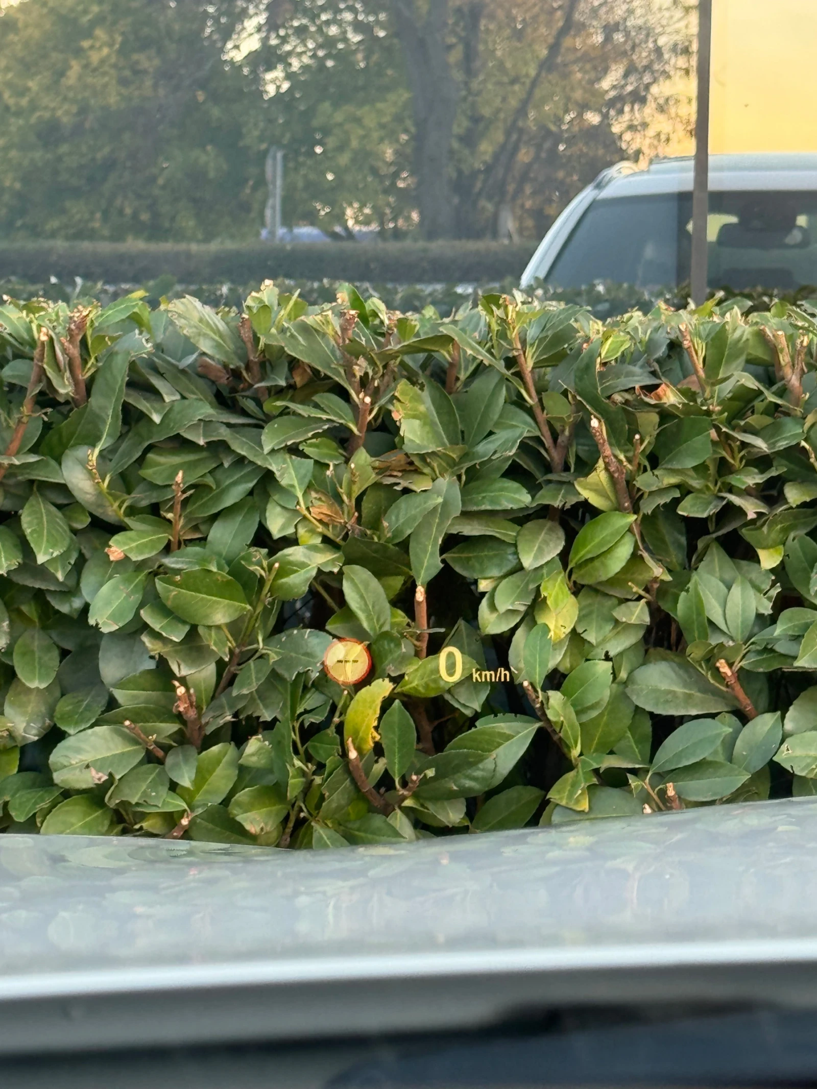 BMW 535     Full  | Mobile.bg   16