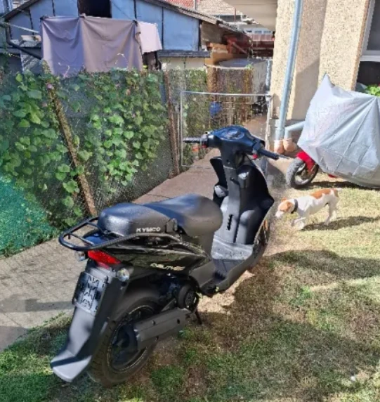 Kymco Agility 80 КБ, снимка 2 - Мотоциклети и мототехника - 53124902