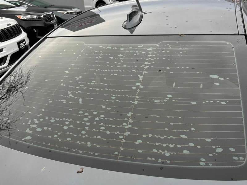 BMW 330 * 330i xDrive * CARFAX * ЦЕНА ДО БГ, снимка 10 - Автомобили и джипове - 53180038