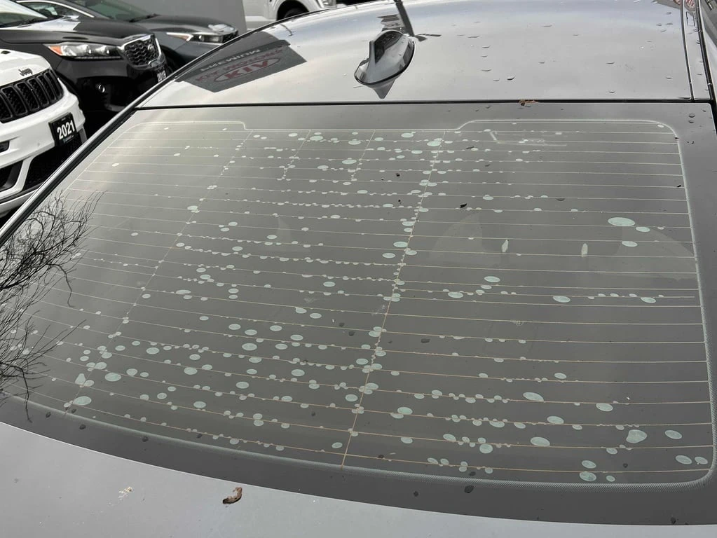 BMW 330 * 330i xDrive * CARFAX * ЦЕНА ДО БГ - изображение 10