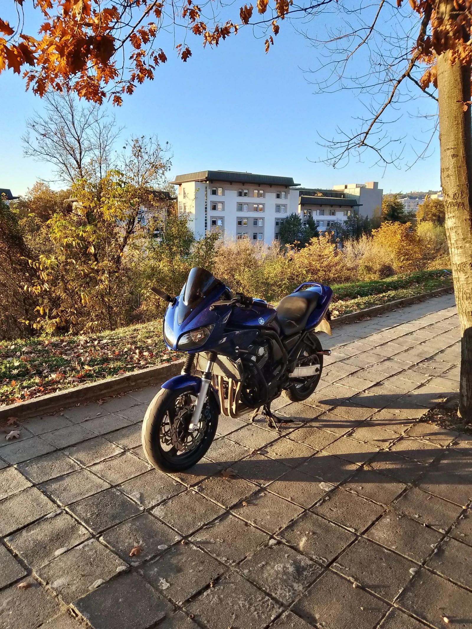 Yamaha Fazer  - изображение 2