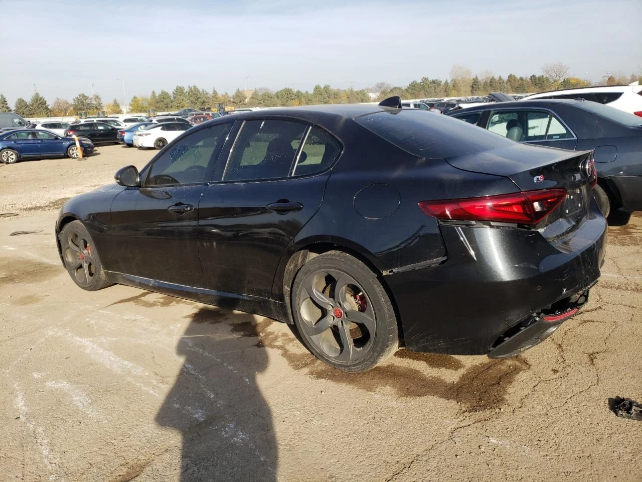 Alfa Romeo Giulia  - изображение 6