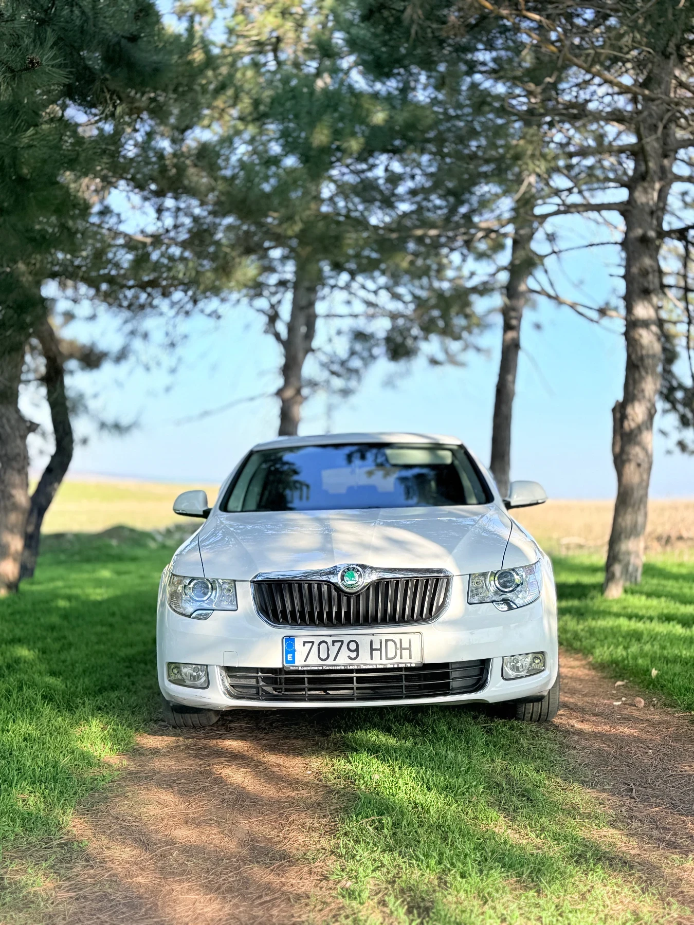 Skoda Superb, снимка 3 - Автомобили и джипове - 55983135