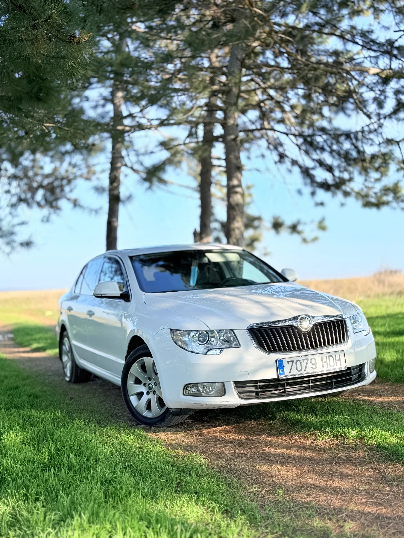 Skoda Superb, снимка 2 - Автомобили и джипове - 55983135