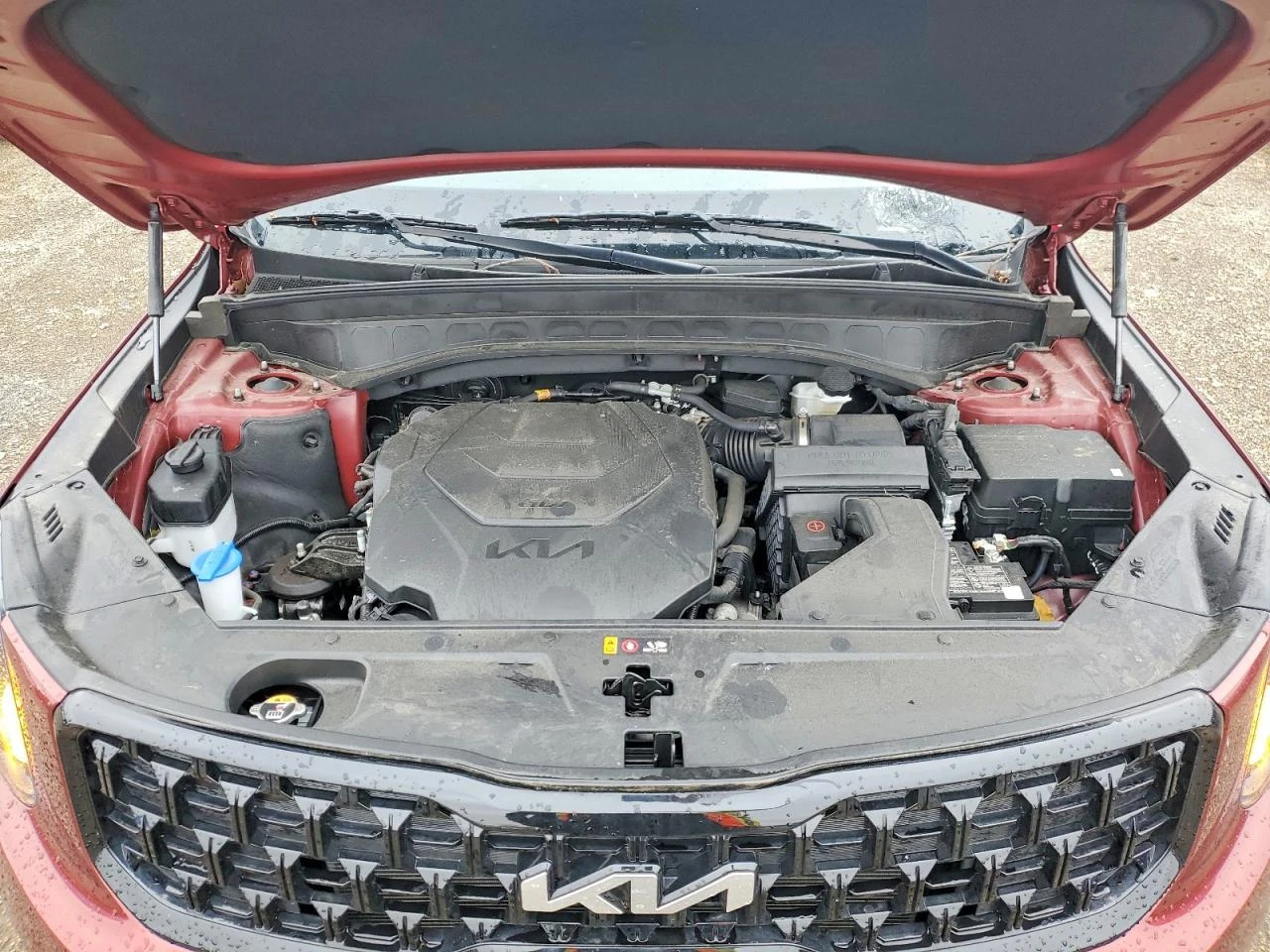Kia Telluride 3.8l Ex X-Line | Mobile.bg � ����������� 12
