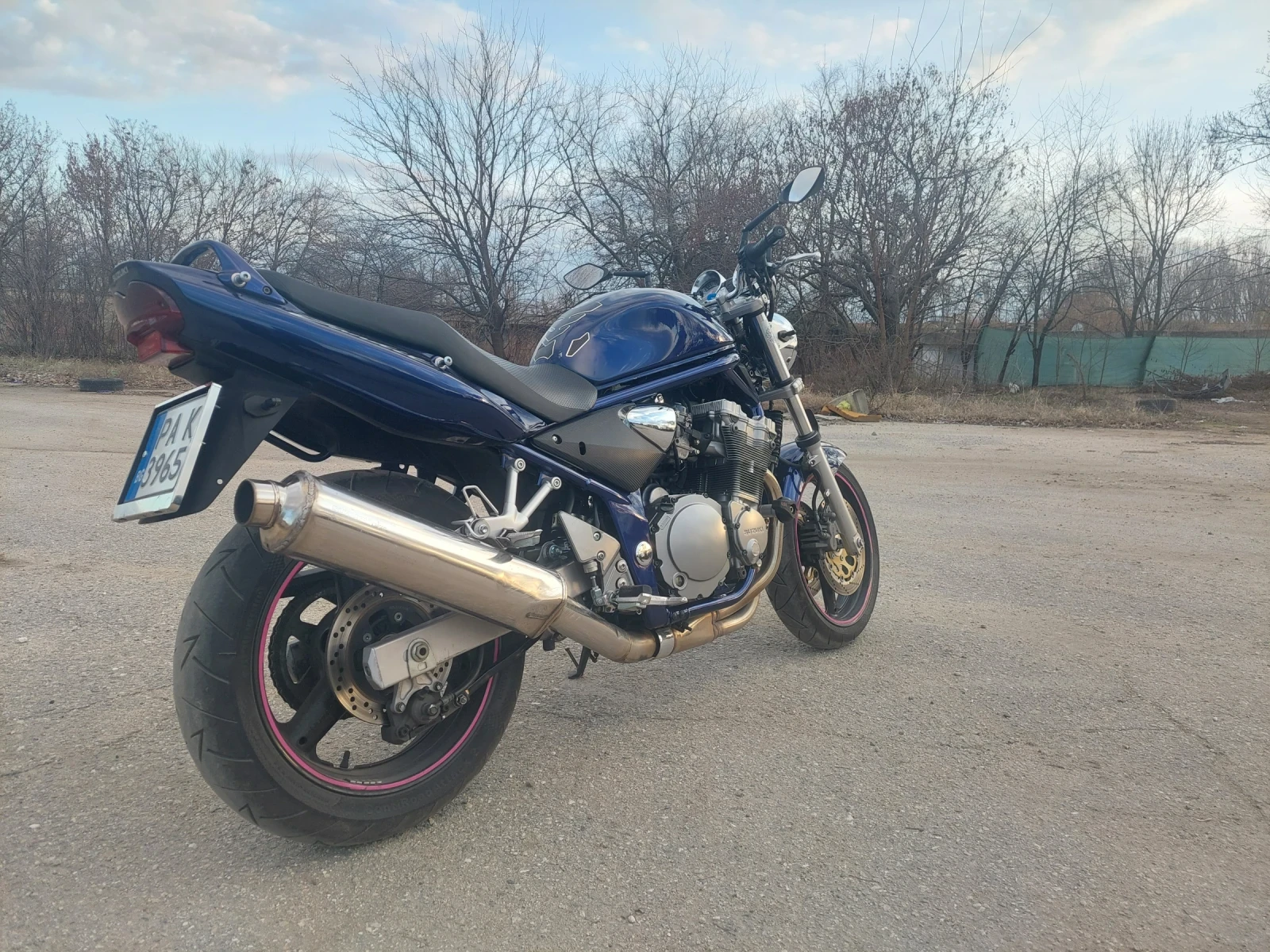 Suzuki Bandit  - изображение 4