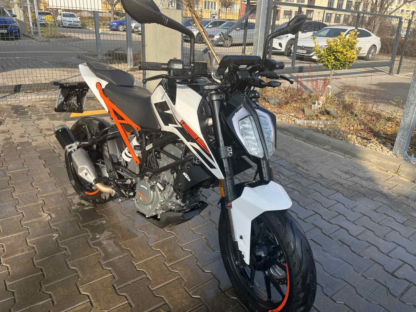 Ktm Duke 125cc  - изображение 2