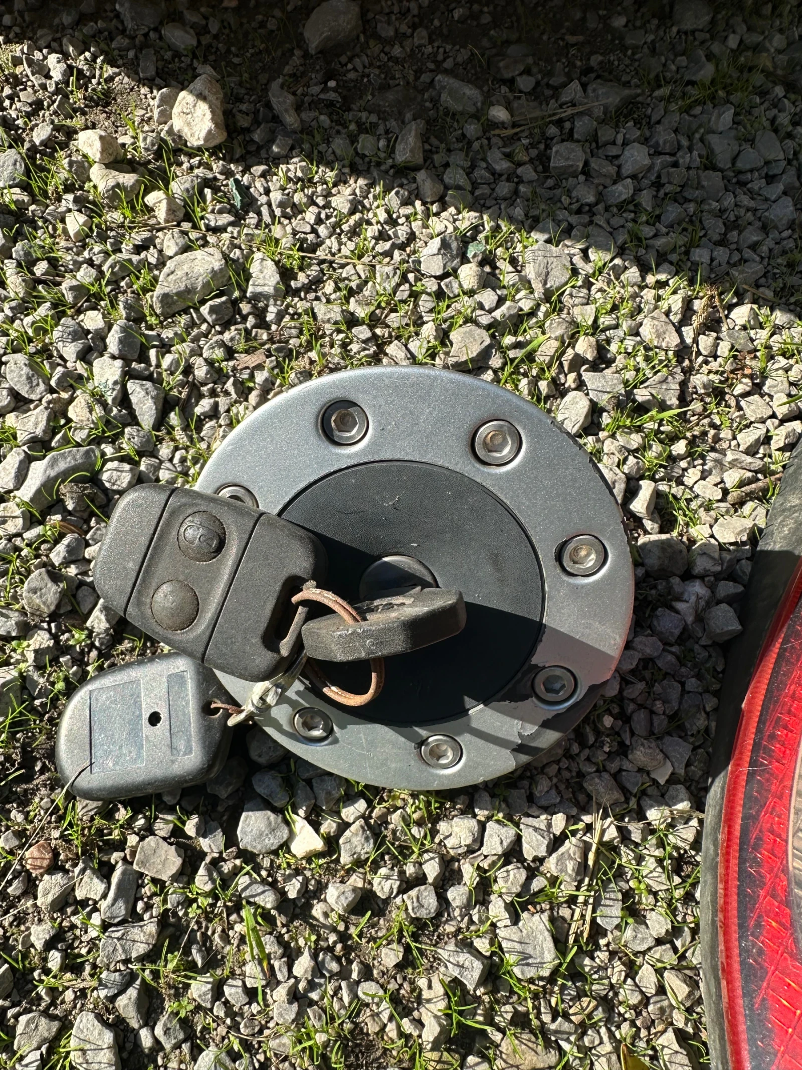 Mg Mgf  - изображение 3