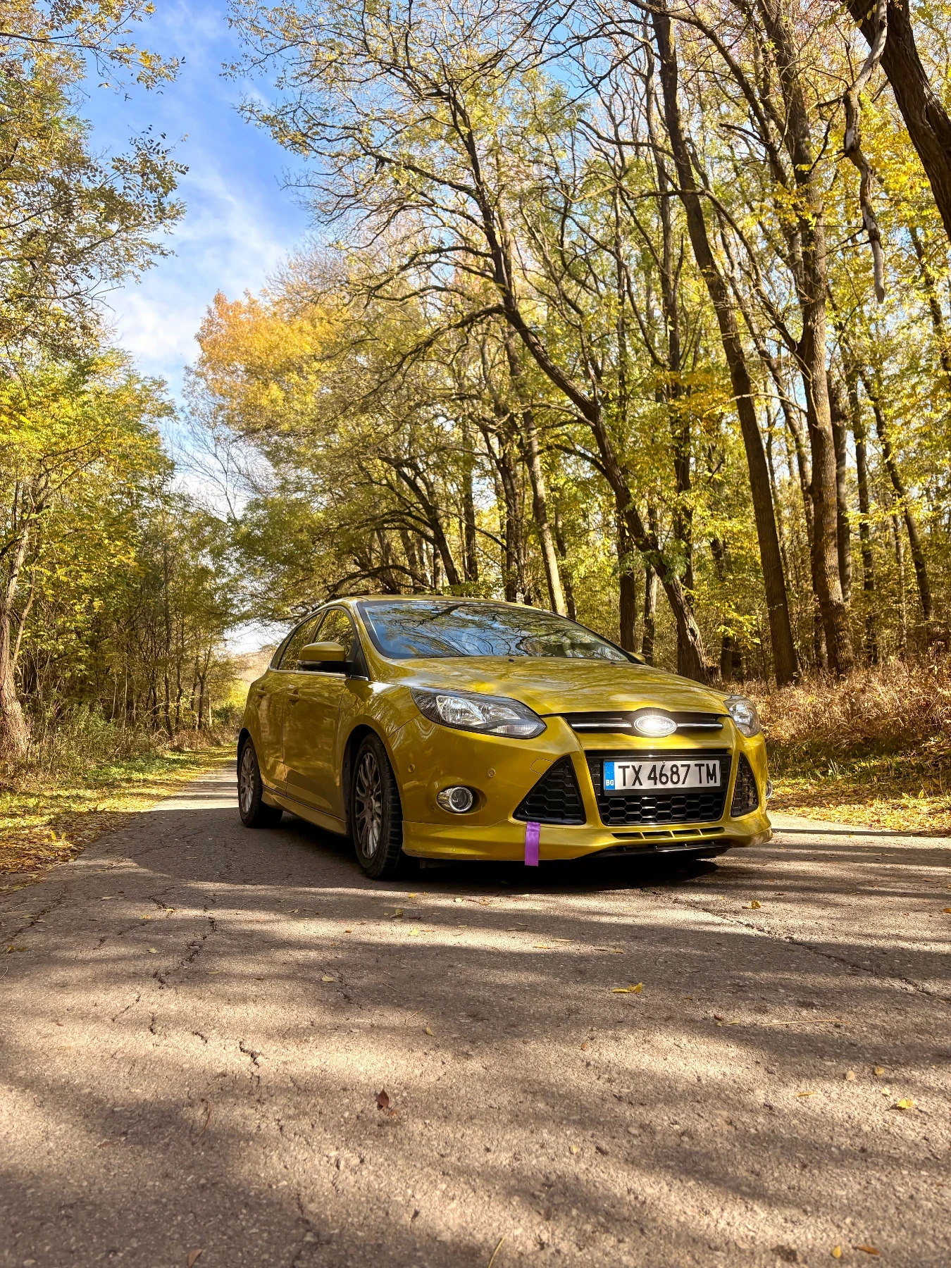 Ford Focus  1.6 Ecoboost Titanium  | Mobile.bg   3